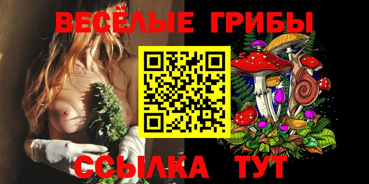 Звенигород  Галлюциногенные грибы прущие грибы  купить закладку  Вход с VPN 
