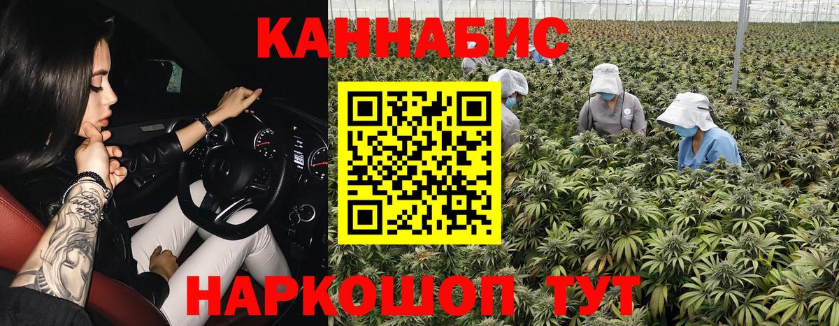 Звенигород  Каннабис индика  Вход с VPN  Канабис Amnesia  МАРИХУАНА MAZAR  Конопля THC 21% 